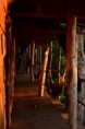 /album/nicaragua/a116-tree-house-jpg/